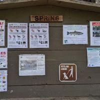 Spring campground ico