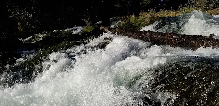Clear Lake South Campground Picture 4