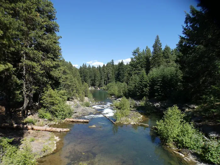 Clear Lake South Campground Picture 9