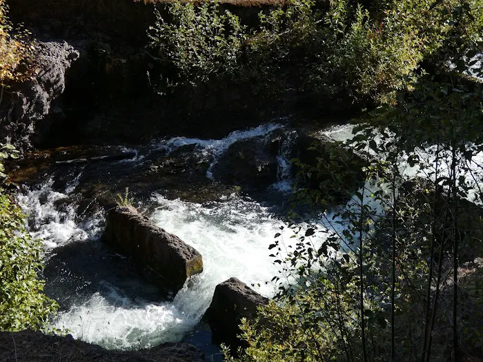 Clear Lake South Campground Picture 2
