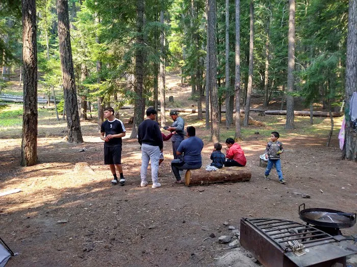 Unimproved Clear Lake North Group Campground Picture 6