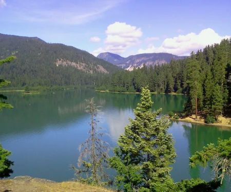 Unimproved Clear Lake North Group Campground