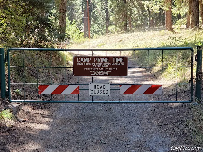 Camp Prime Time Picture 8