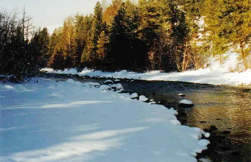 Lower Bake Oven Campground Picture 2