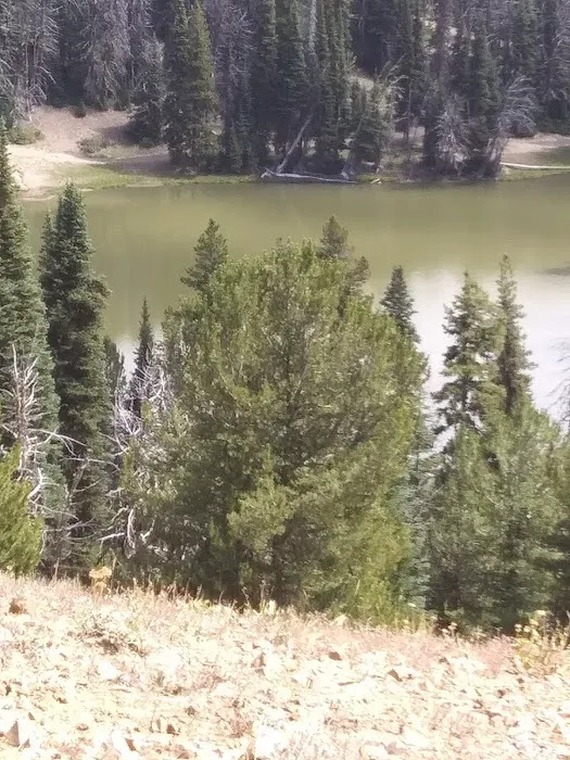 Lower Bake Oven Campground Picture 5