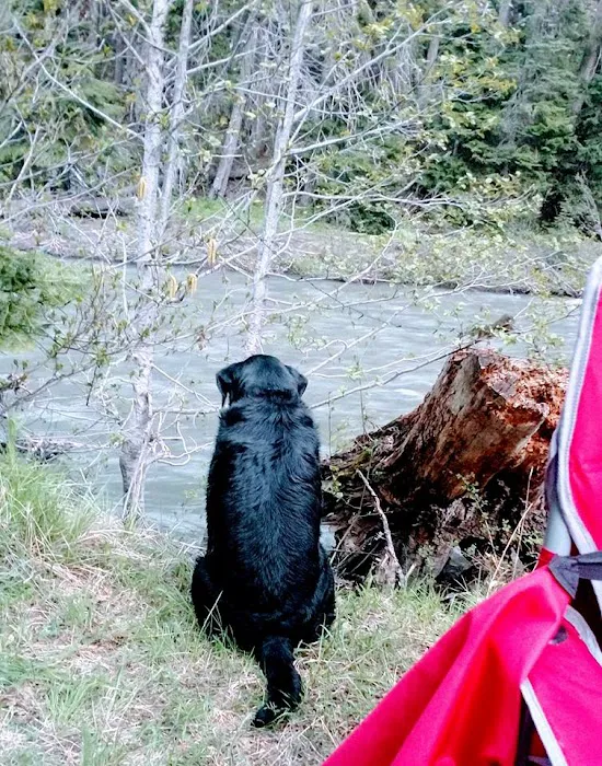 Lower Bake Oven Campground Picture 10