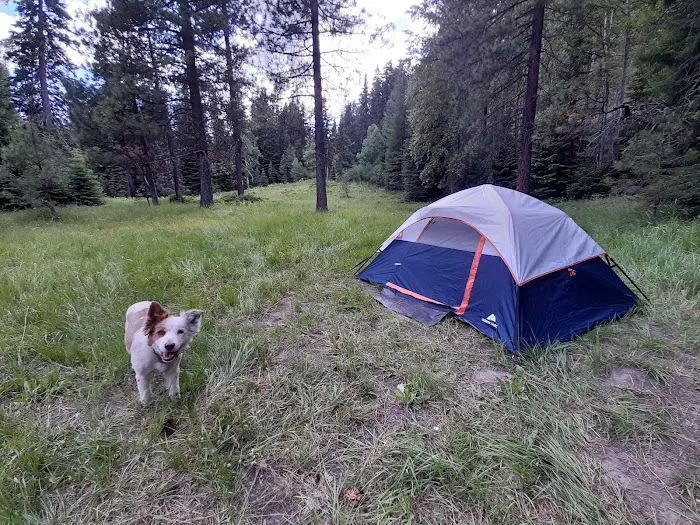 Lower Bake Oven Campground Picture 6