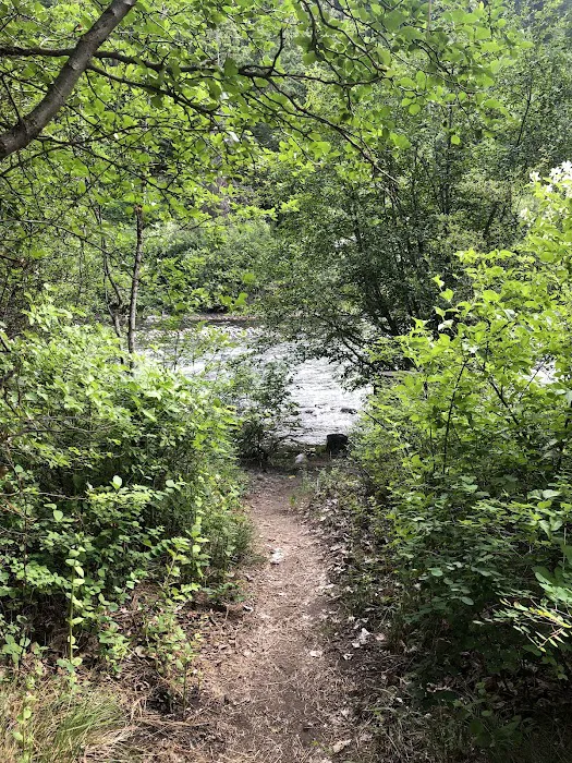 Cottonwood Campground Picture 5