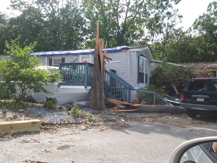 Pine Hill Mobile Home Court Picture 2