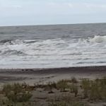 Ocean Beach Trailer Resort