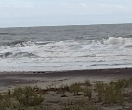 Ocean Beach Trailer Resort