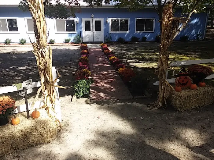 Atlantic Blueberry RV Park Picture 4