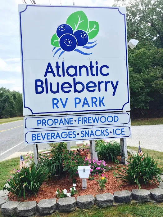 Atlantic Blueberry RV Park Picture 10