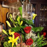 Village At Pleasant Hills Mbl ico