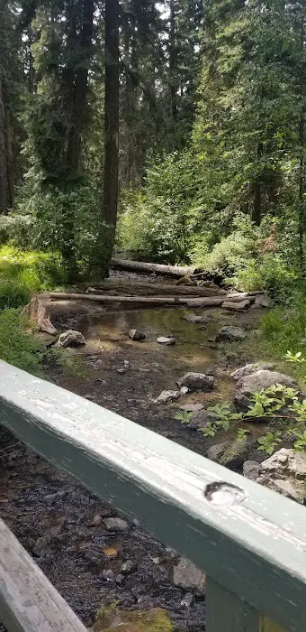 Swauk Campground Sno-Park Picture 6