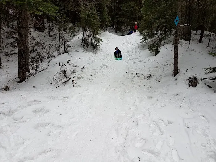 Swauk Campground Sno-Park Picture 9