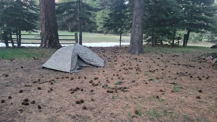 Tamarack Spring Campground Picture 4