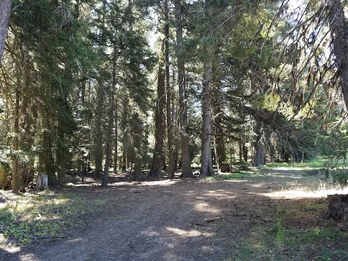 Tamarack Spring Campground Picture 5
