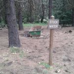 Tamarack Spring Campground