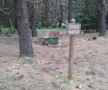 Tamarack Spring Campground