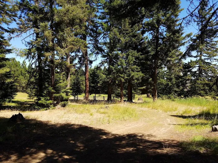 Tamarack Spring Campground Picture 6