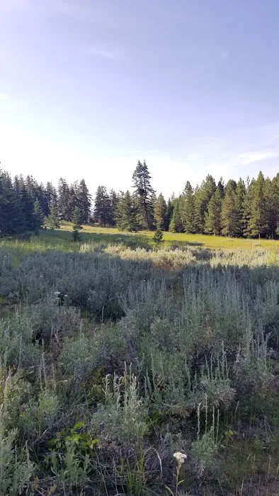 Tamarack Spring Campground Picture 10