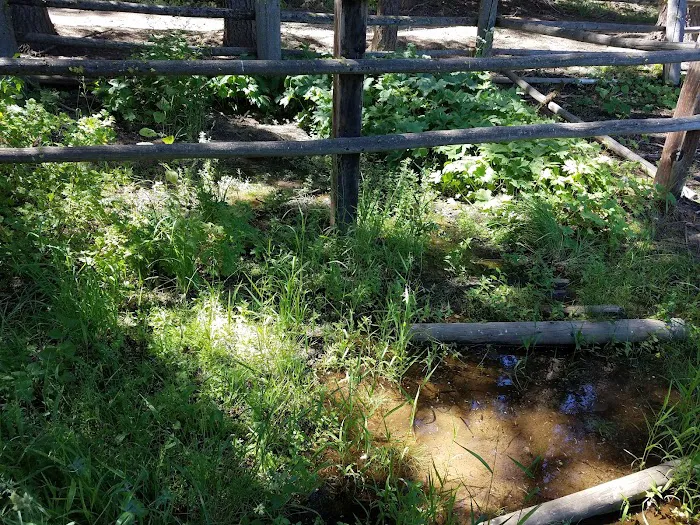 Tamarack Spring Campground Picture 9