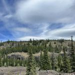 Manastash Camp / Trailhead