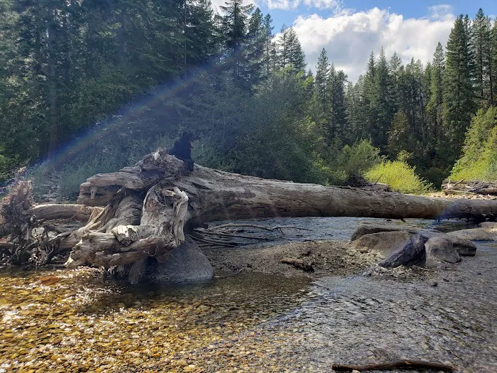 Nason Creek Campground Picture 11