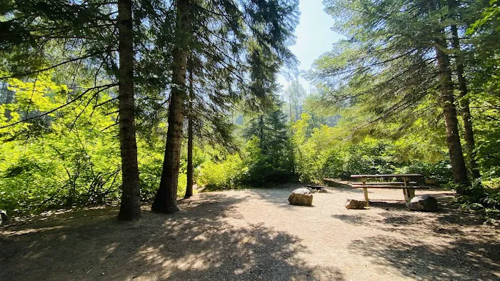 Nason Creek Campground Picture 9