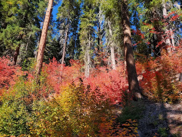 Meadow Creek Campground Picture 8