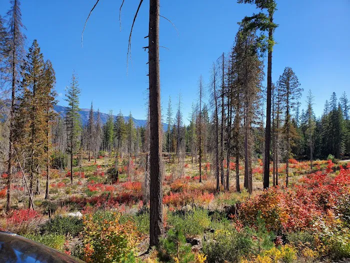 Meadow Creek Campground Picture 10