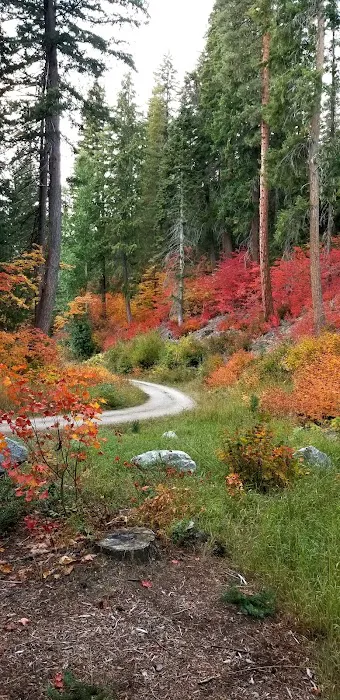 Meadow Creek Campground Picture 6