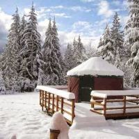 Paca Pride Guest Ranch ico