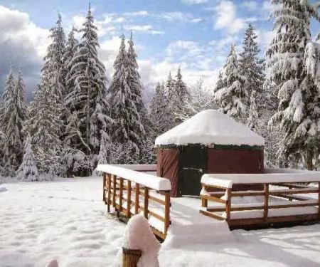 Paca Pride Guest Ranch