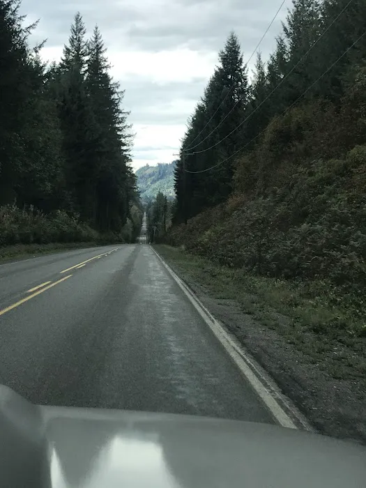 Masonic Park Picture 8