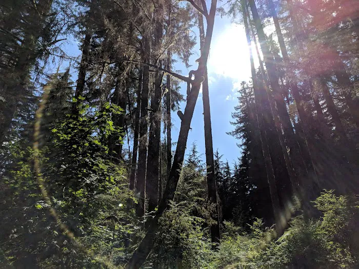 Masonic Park Picture 9