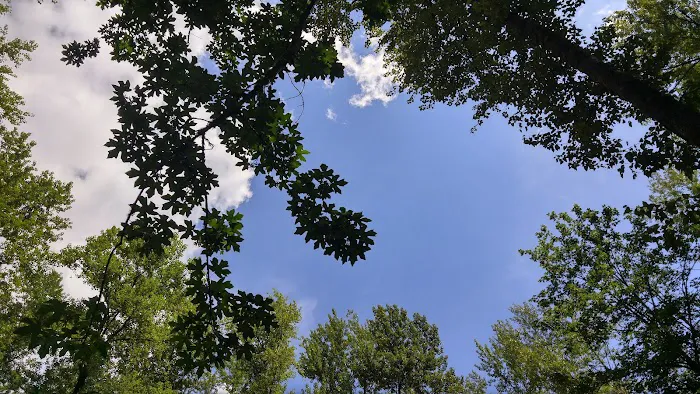 Masonic Park Picture 7