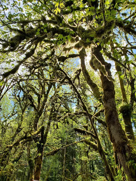 Masonic Park Picture 10