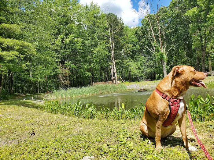 Dutch Valley RV Park Picture 7