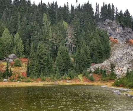 Green Mountain Campsites