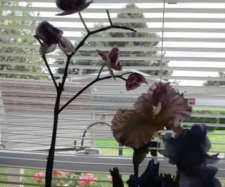 Triple J Mobile Home Park