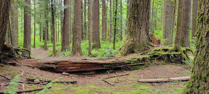 Squire Creek Campground Picture 4