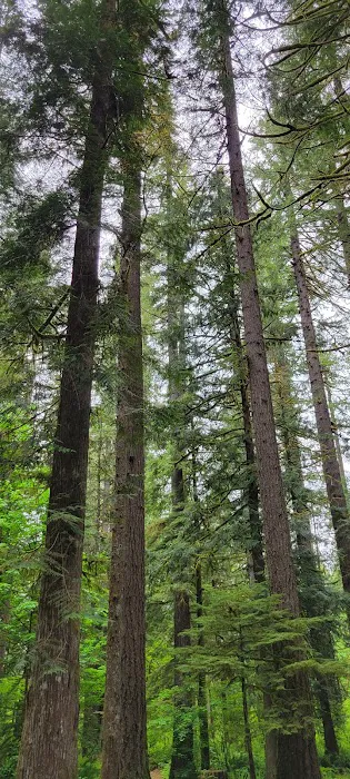 Squire Creek Campground Picture 7
