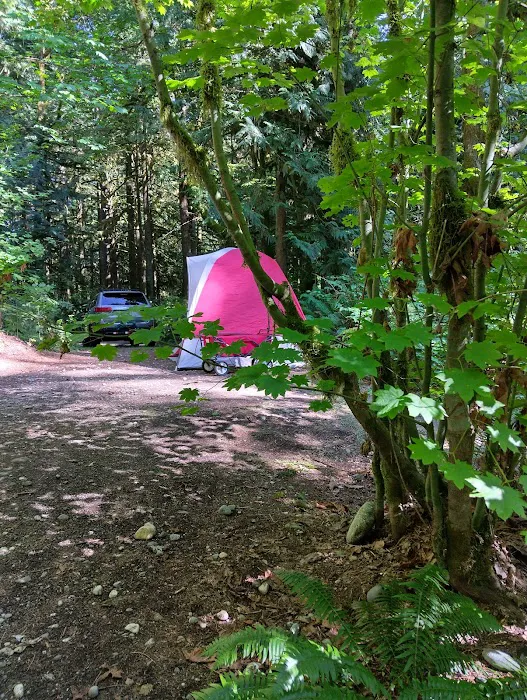 Squire Creek Campground Picture 8
