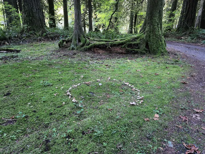 Squire Creek Campground Picture 10