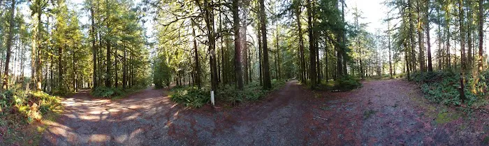 Squire Creek Campground Picture 9
