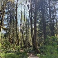 Camp Keyser ico