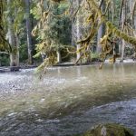 Sauk Park Campground