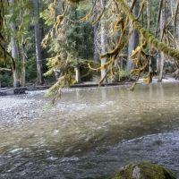 Sauk Park Campground ico